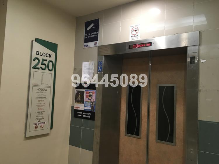 Yishun Avenue 9 thumbnail photo